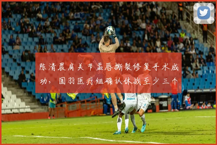 陈清晨肩关节盂唇撕裂修复手术成功,国羽医疗组确认休战至少三个月