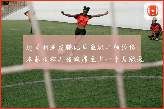 迪马利亚左腿比目鱼肌二级拉伤,本菲卡称其将缺席至少一个月欧冠小组赛