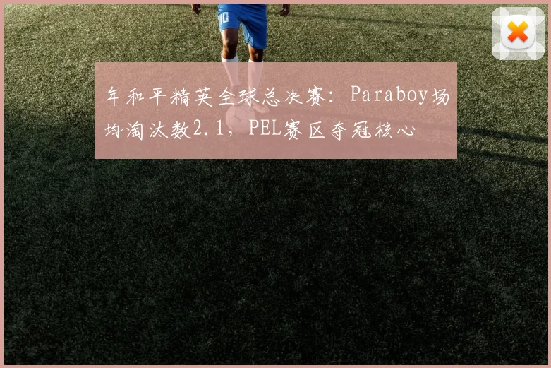 年和平精英全球总决赛：Paraboy场均淘汰数2.1，PEL赛区夺冠核心